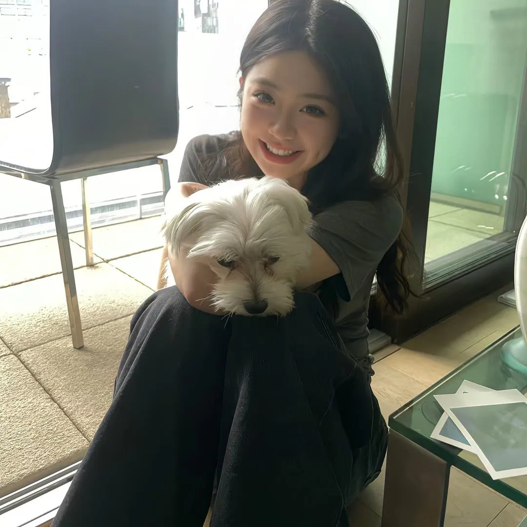 狗奴人生